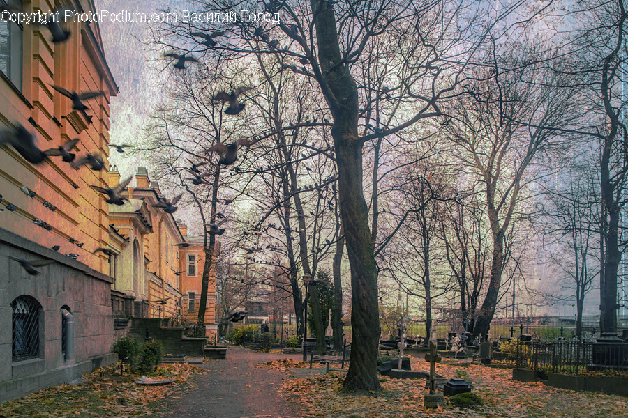 Cobblestone, Path, Pavement, Sidewalk, Walkway