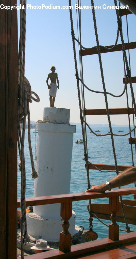 Boat, Watercraft, Bird, Booby, Dock, Landing, Pier