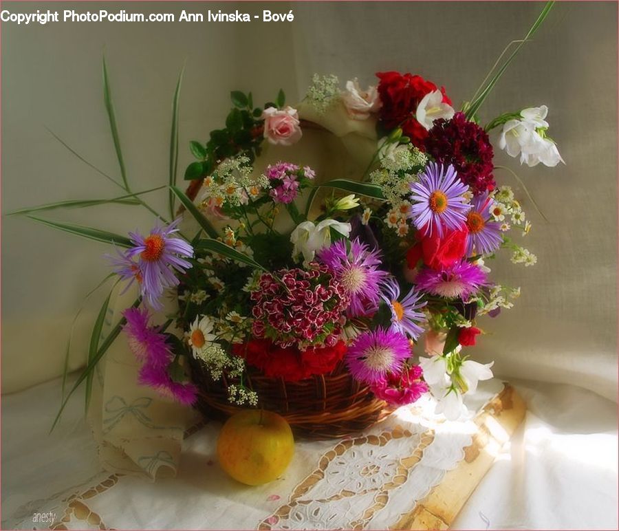 Plant, Potted Plant, Floral Design, Flower, Flower Arrangement, Flower Bouquet, Ikebana