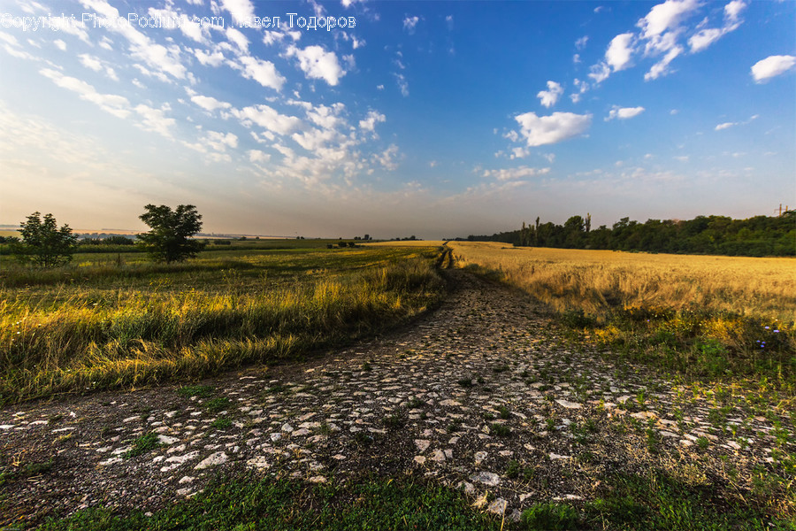 Dirt Road, Gravel, Road, Countryside, Farm