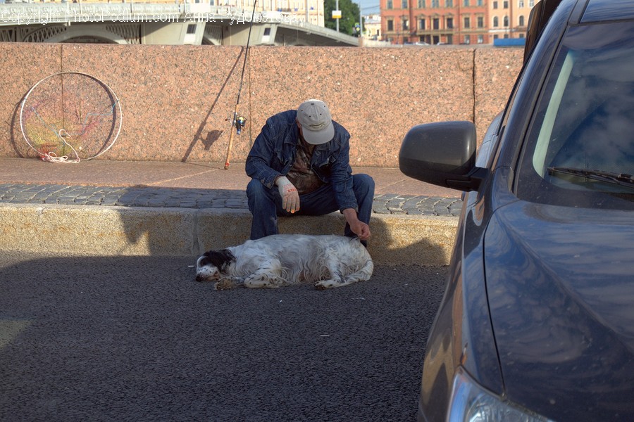 Human, People, Person, Automobile, Car