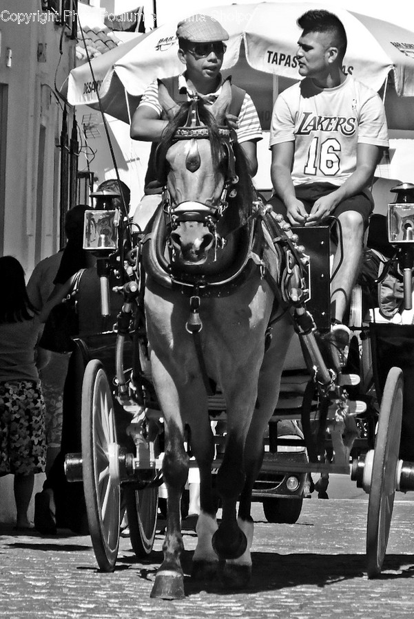 Human, People, Person, Crowd, Parade