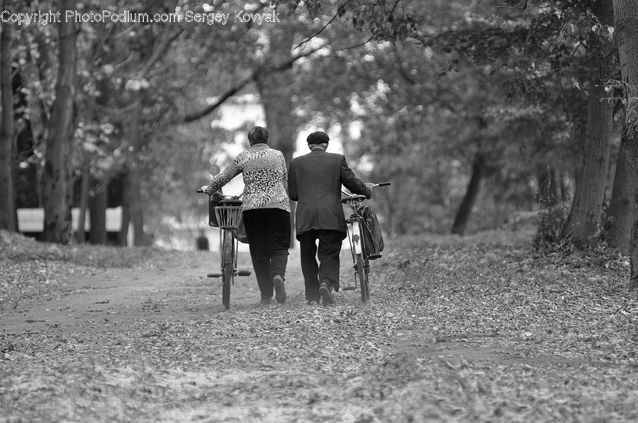 Human, People, Person, Path, Trail