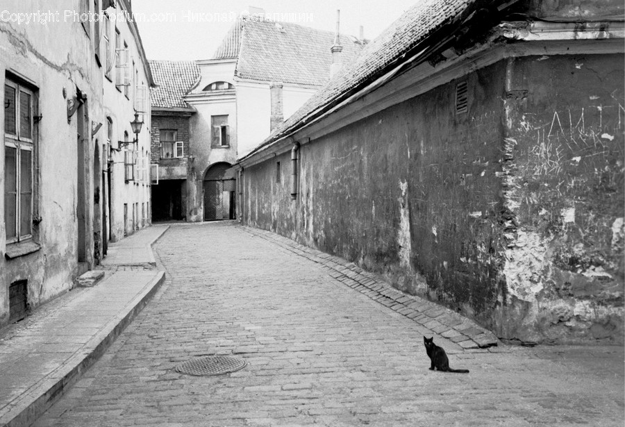 Alley, Alleyway, Building, City, Road