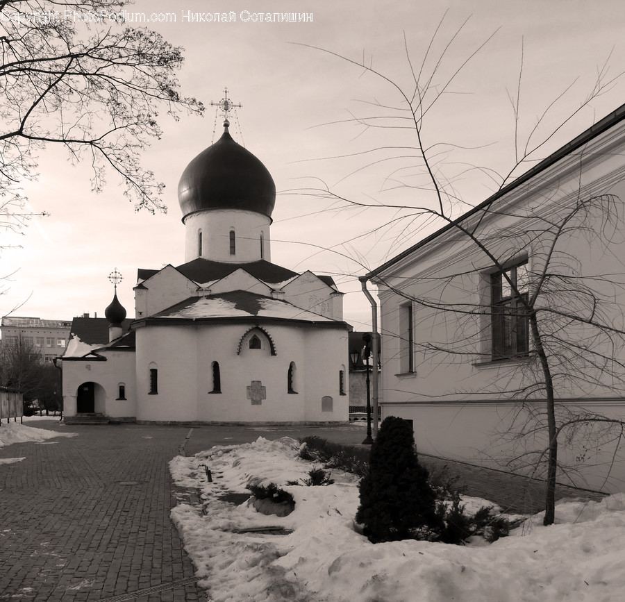 Architecture, Building, Church, Worship, Conifer