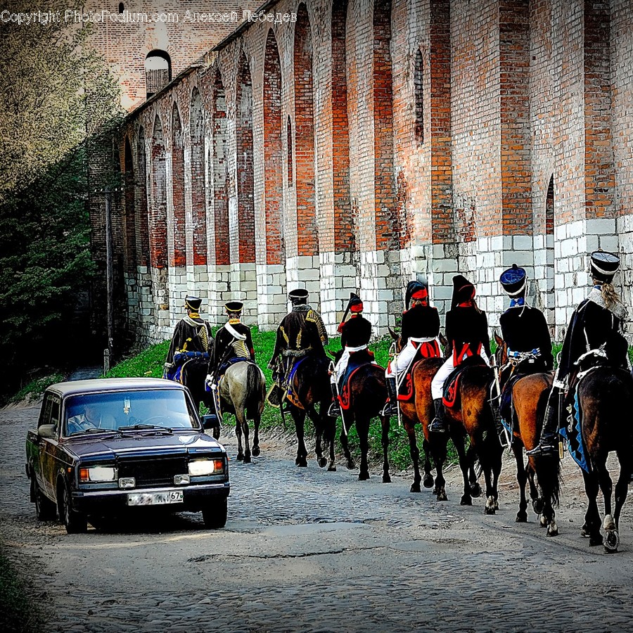 Animal, Horse, Mammal, Automobile, Car