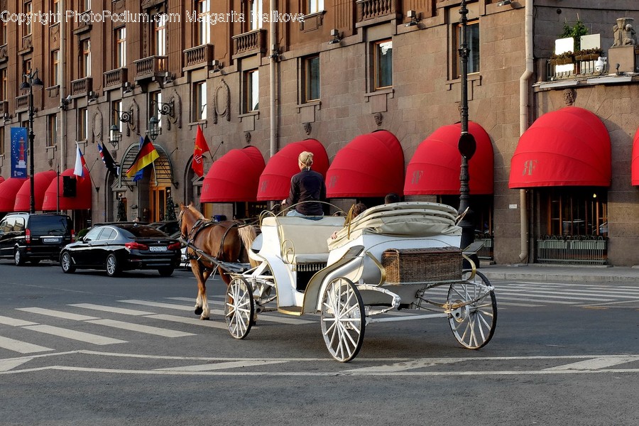 Awning, Canopy, Carriage, Transportation, Vehicle
