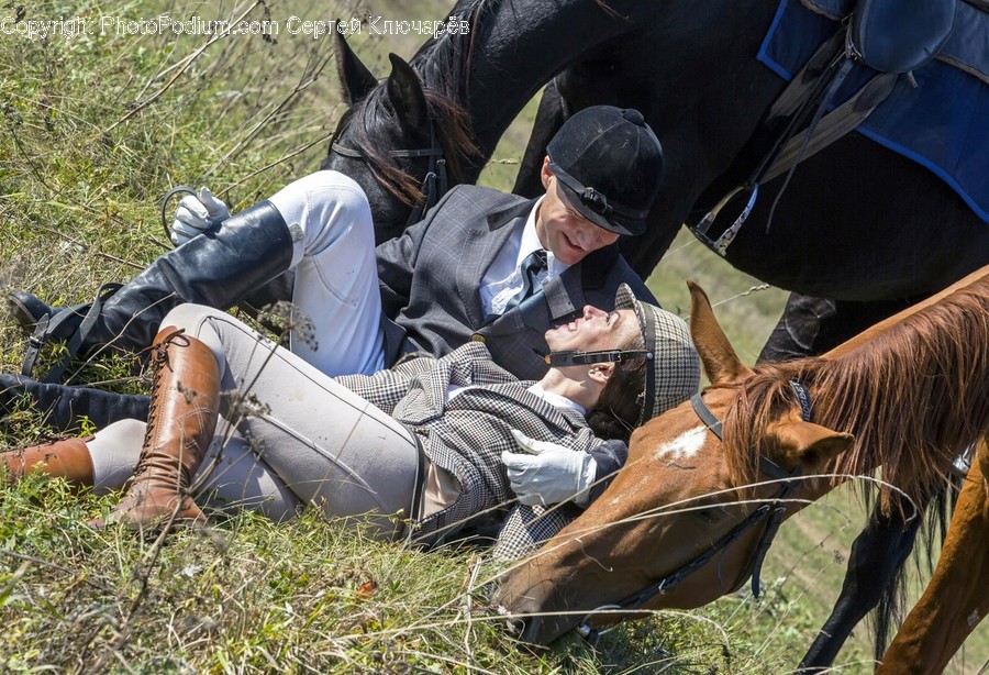 Human, People, Person, Animal, Horse
