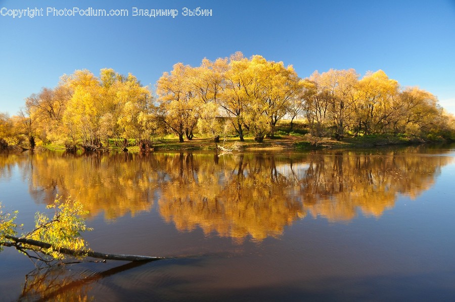 Nature, Flora, Plant, Landscape, Outdoors
