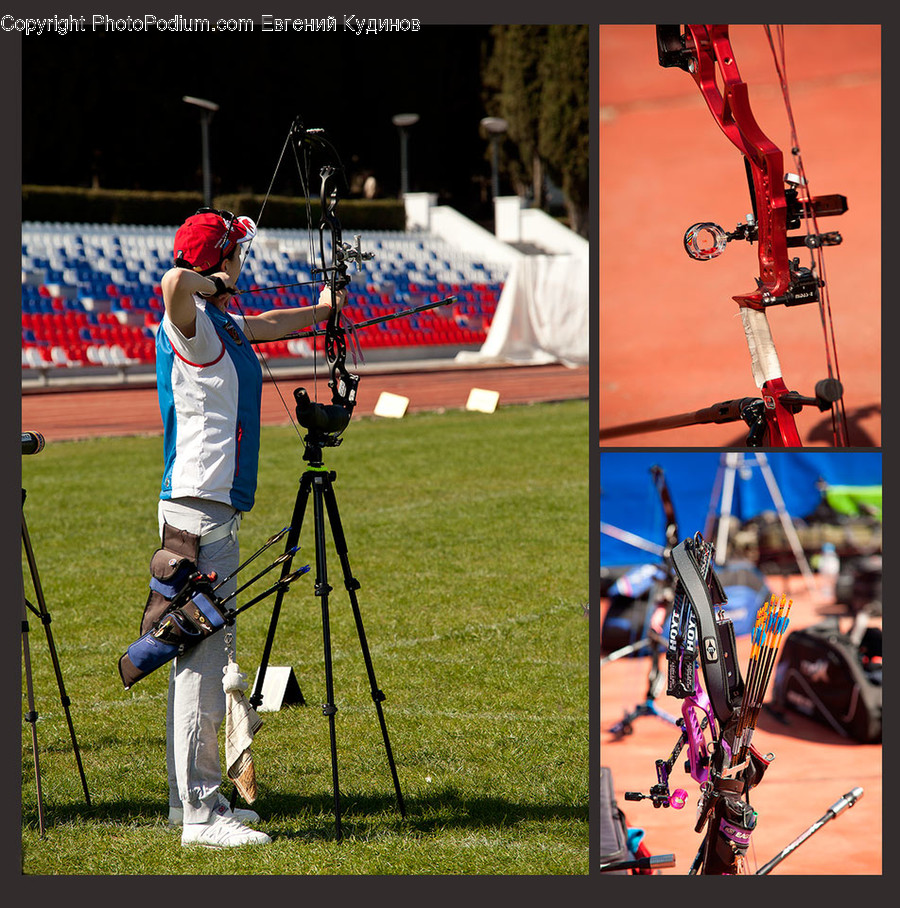 Archery, Bow, Sport, Sports, Human