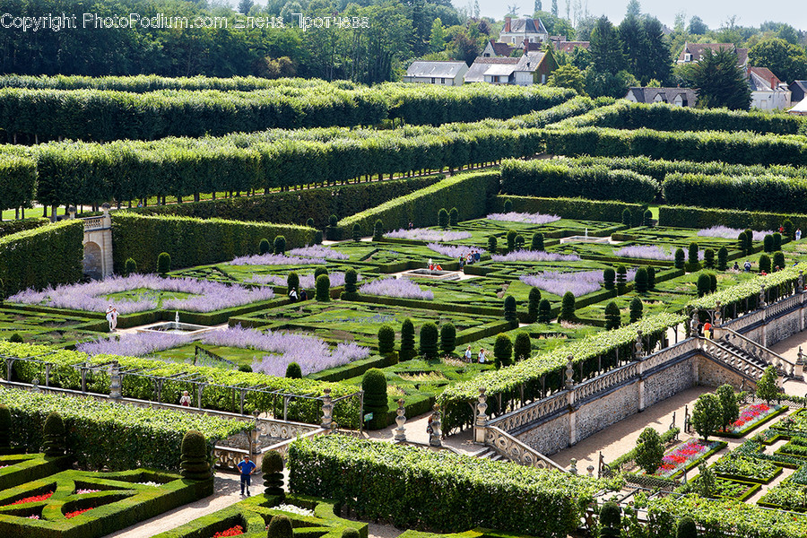 Aerial View, Landscape, Nature, Outdoors, Scenery