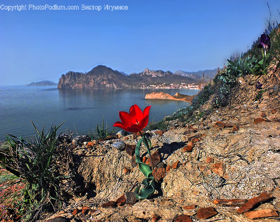 Landslide, Nature, Limestone, Soil, Rubble
