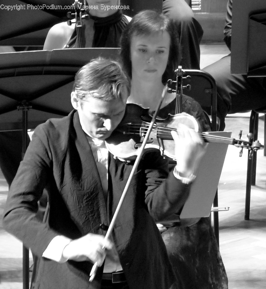 Human, People, Person, Fiddle, Leisure Activities