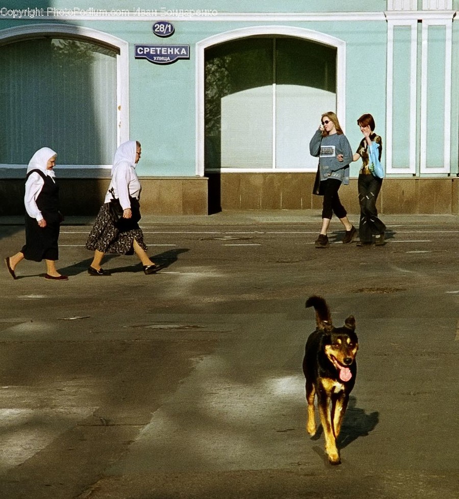 Human, People, Person, Leisure Activities