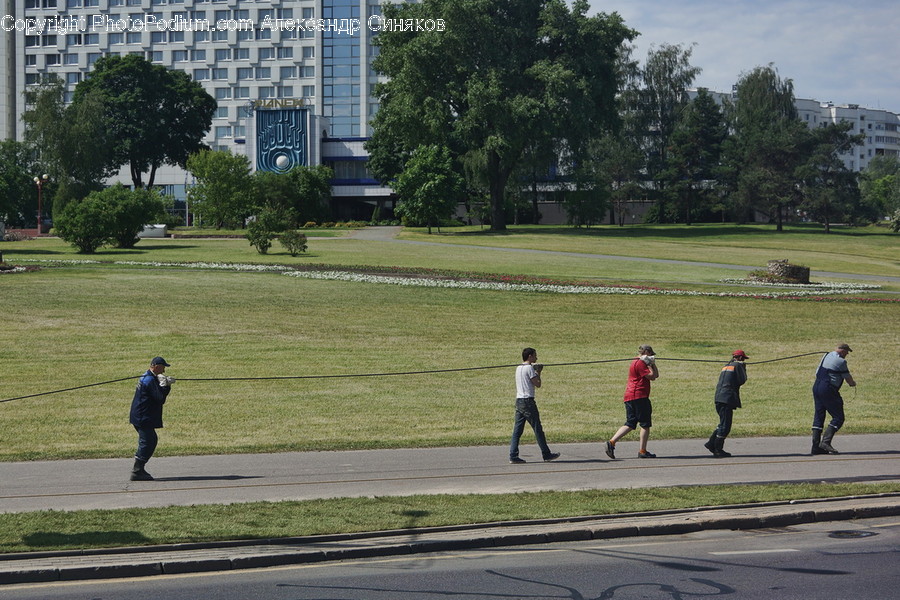 Flora, Plant, Tree, Leisure Activities, Walking