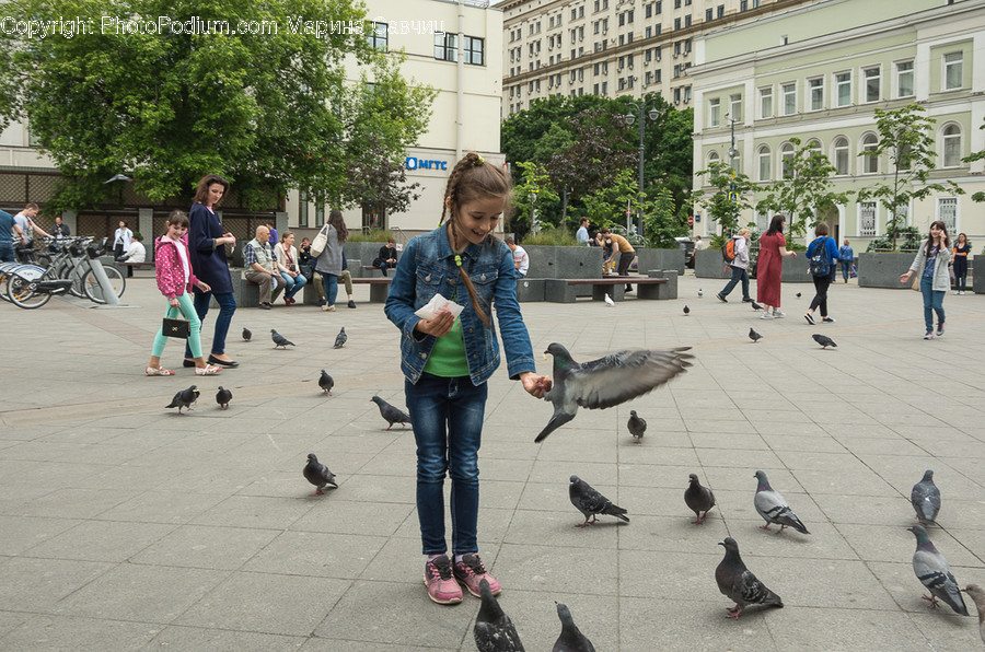 Human, People, Person, Animal, Bird