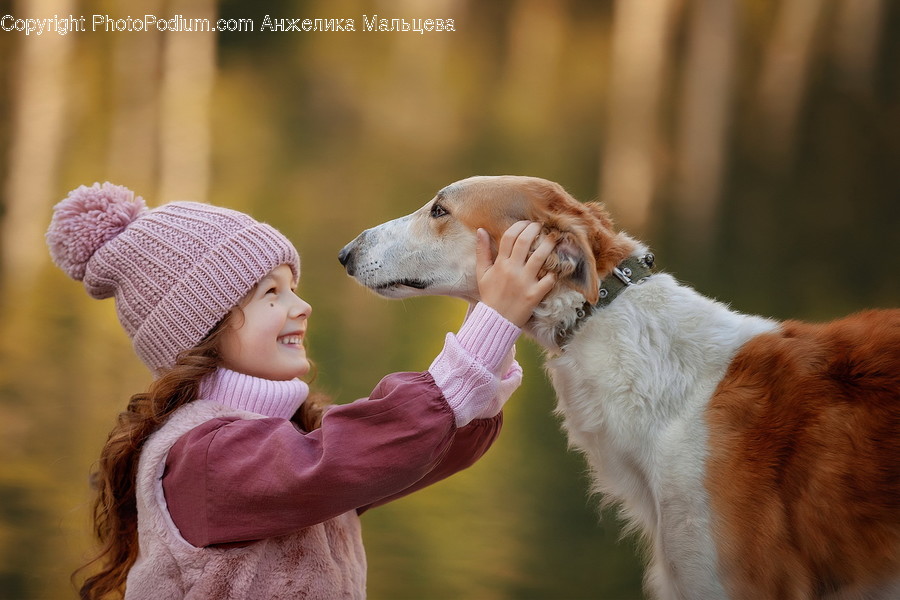 Human, People, Person, Animal, Canine