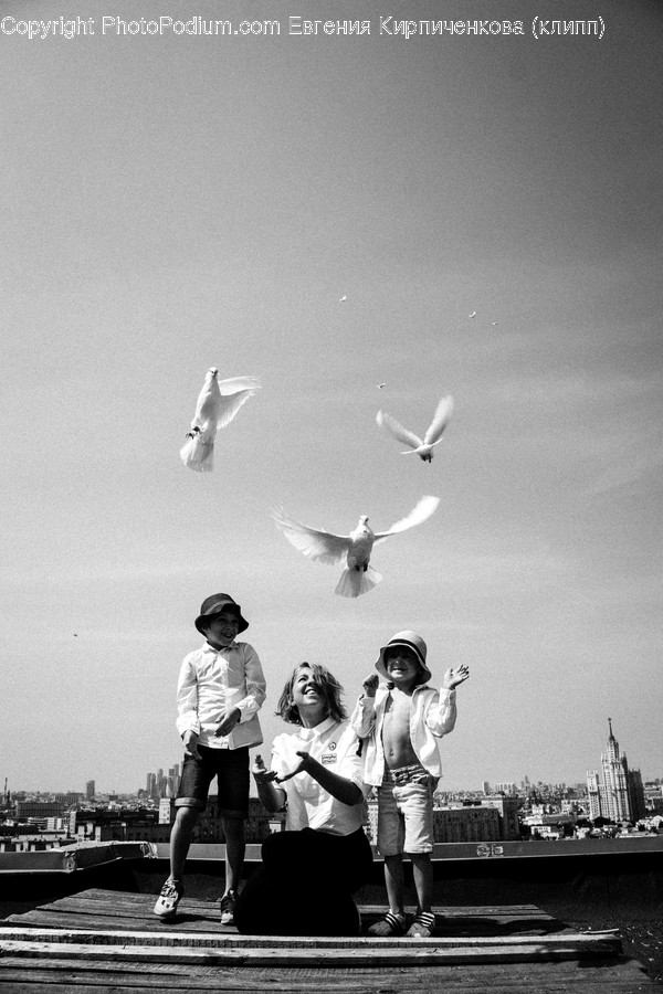 Human, People, Person, Animal, Bird