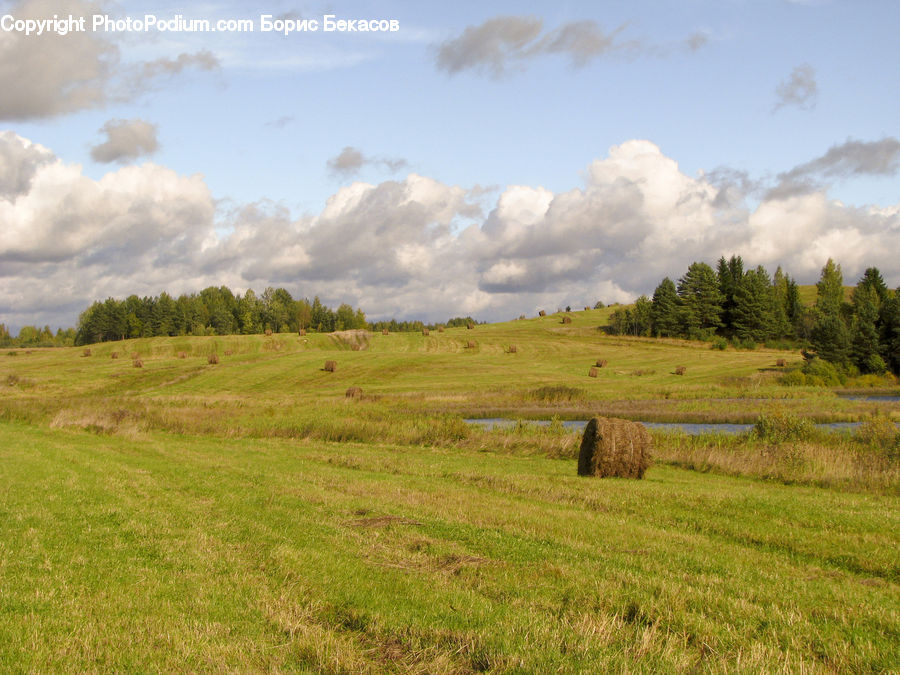 Field, Grass, Grassland, Land, Outdoors, Countryside, Meadow