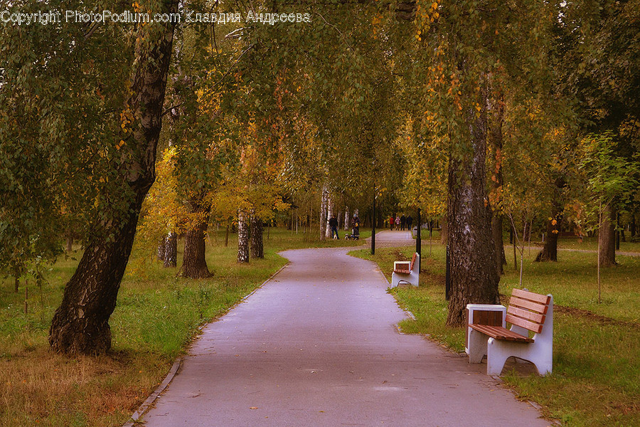 Bench, Path, Dirt Road, Gravel, Road
