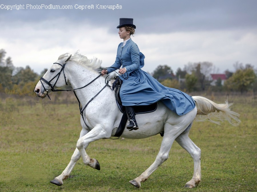 Human, People, Person, Animal, Equestrian