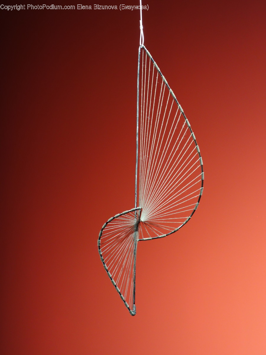 Animal, Butterfly, Insect, Invertebrate, Anisoptera