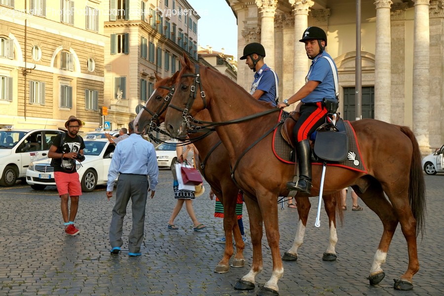 Human, People, Person, Animal, Equestrian