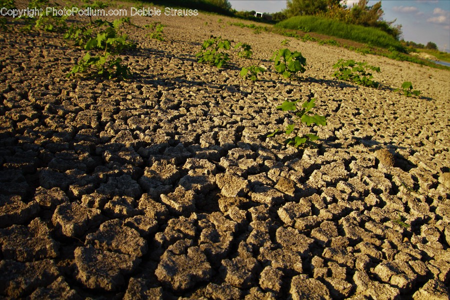 Soil