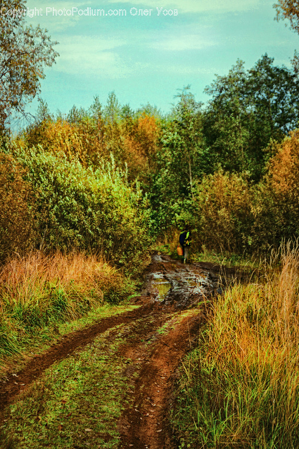 Dirt Road, Gravel, Road, Boardwalk, Bridge