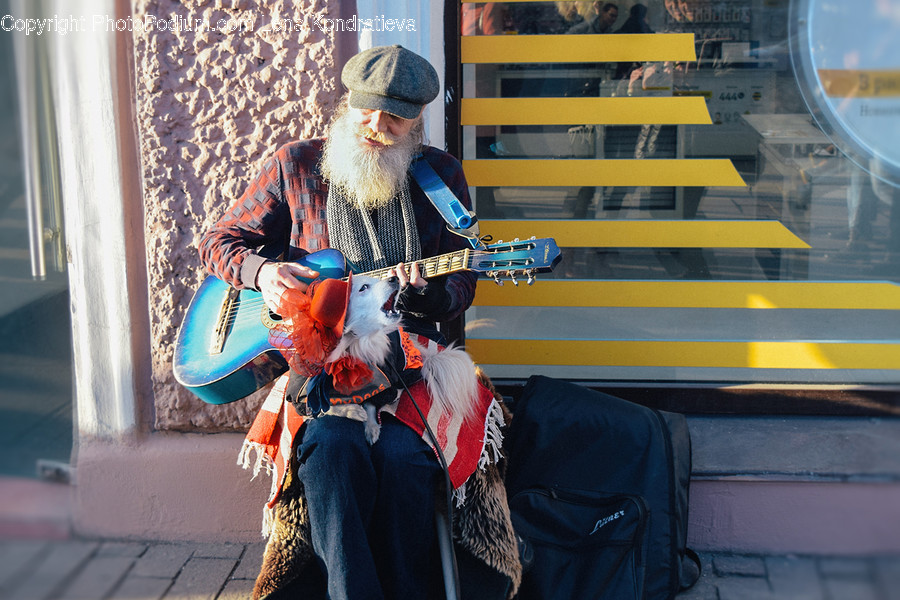 Human, People, Person, Beard, Clown