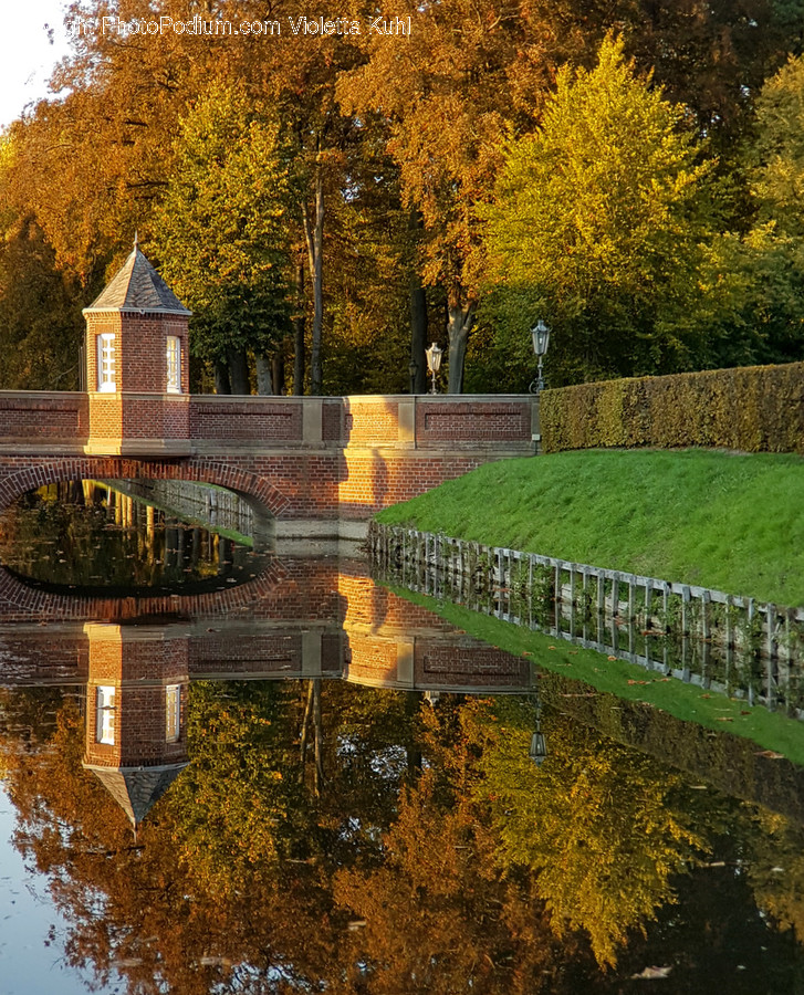 Campus, Landscape, Nature, Outdoors, Scenery