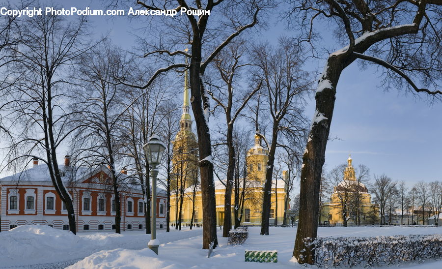 Campus, Ice, Outdoors, Snow, Plant, Tree, Building