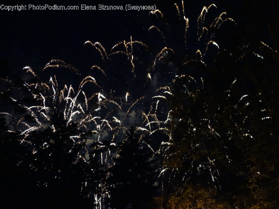 Fireworks, Night, Outdoors, Flora, Grass