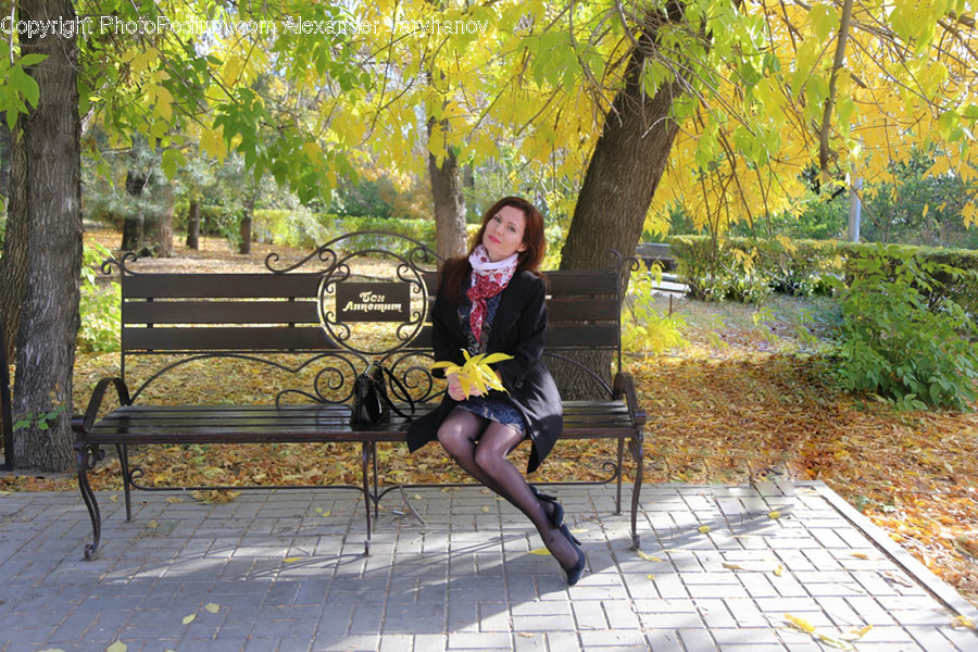 Bench, Human, People, Person, Park Bench