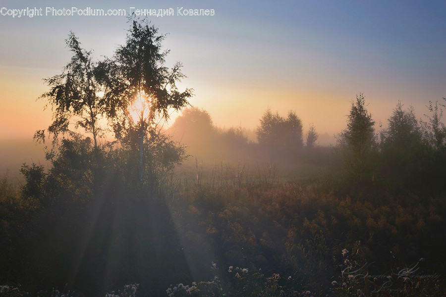 Dawn, Dusk, Nature, Outdoors, Red Sky