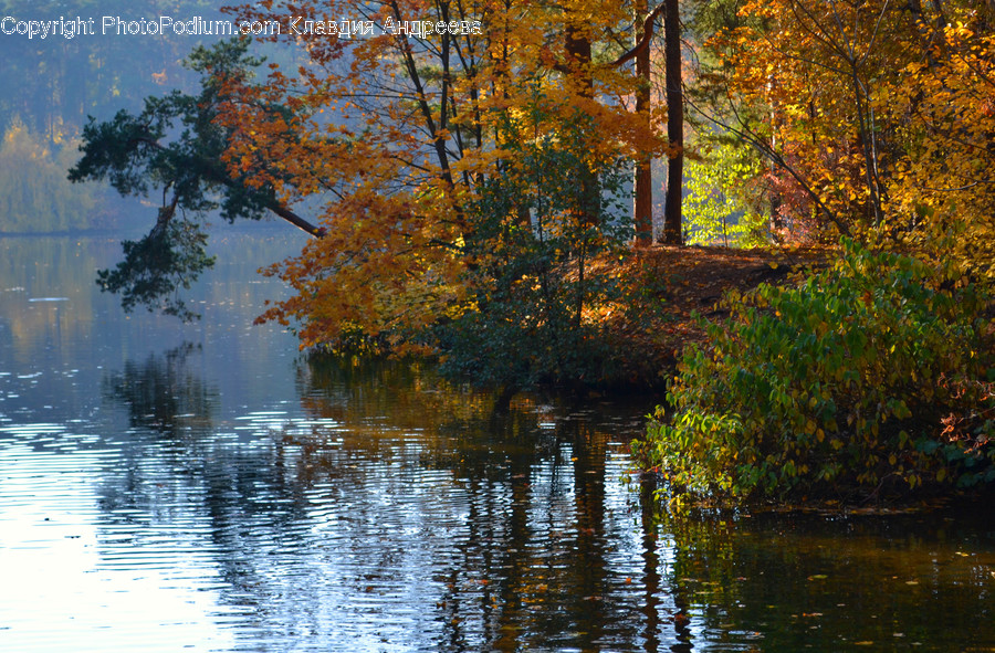 Outdoors, River, Water, Landscape, Nature