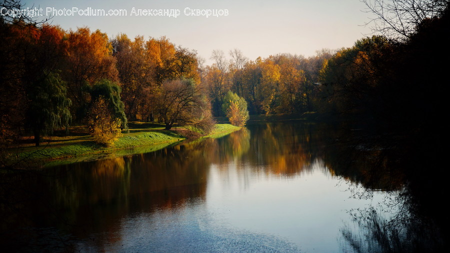 Outdoors, River, Water, Flora, Forest