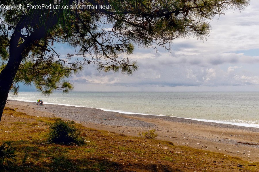 Beach, Coast, Nature, Ocean, Outdoors