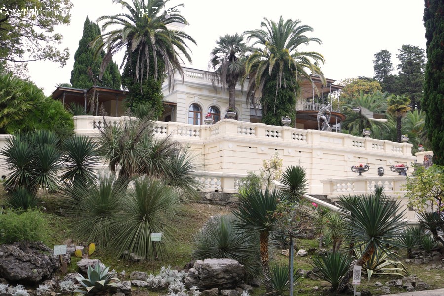 Building, House, Housing, Villa, Arecaceae