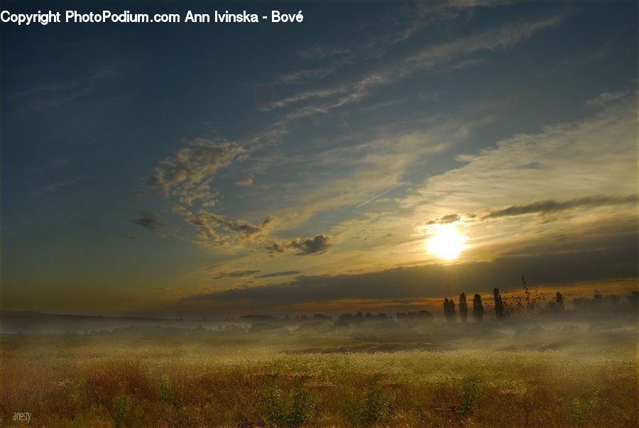 Field, Grass, Grassland, Land, Outdoors, Dawn, Dusk