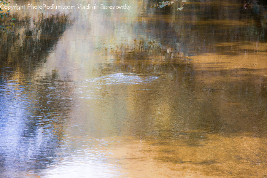 Land, Marsh, Outdoors, Swamp, Water
