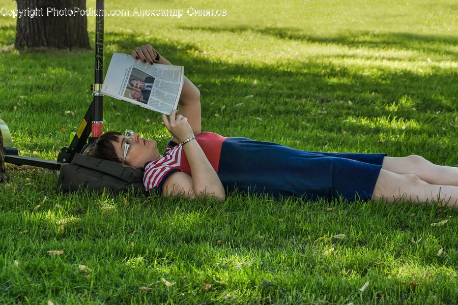 Human, People, Person, Reading, Flora