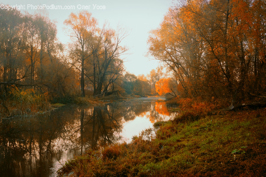 Outdoors, River, Water, Dawn, Dusk