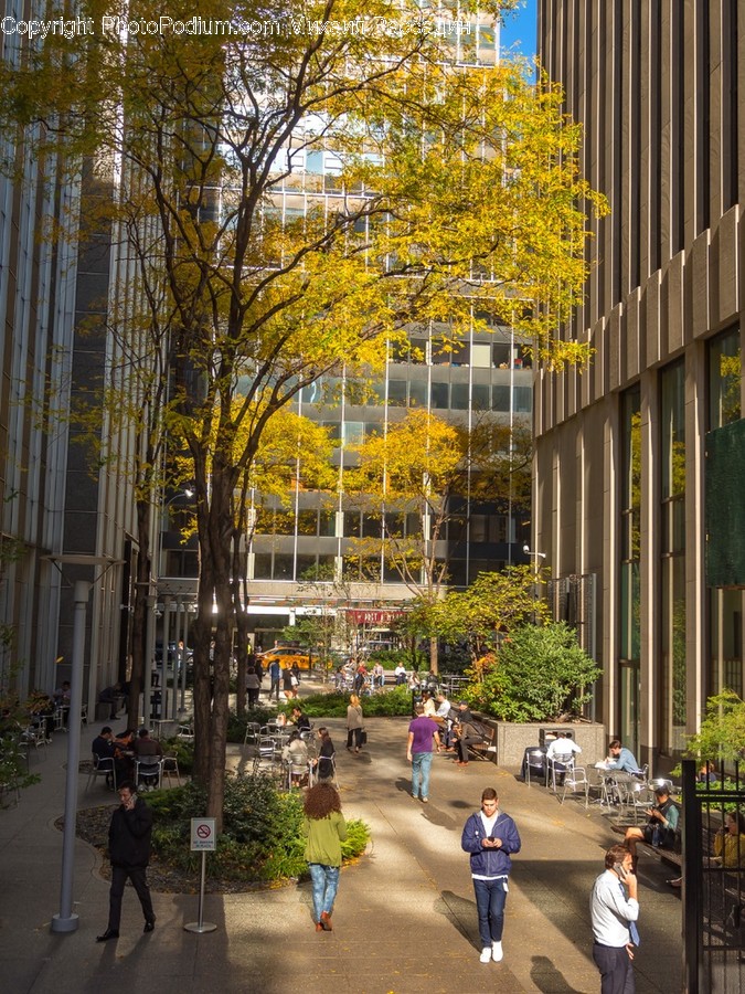 Architecture, Building, City, Downtown, Plaza