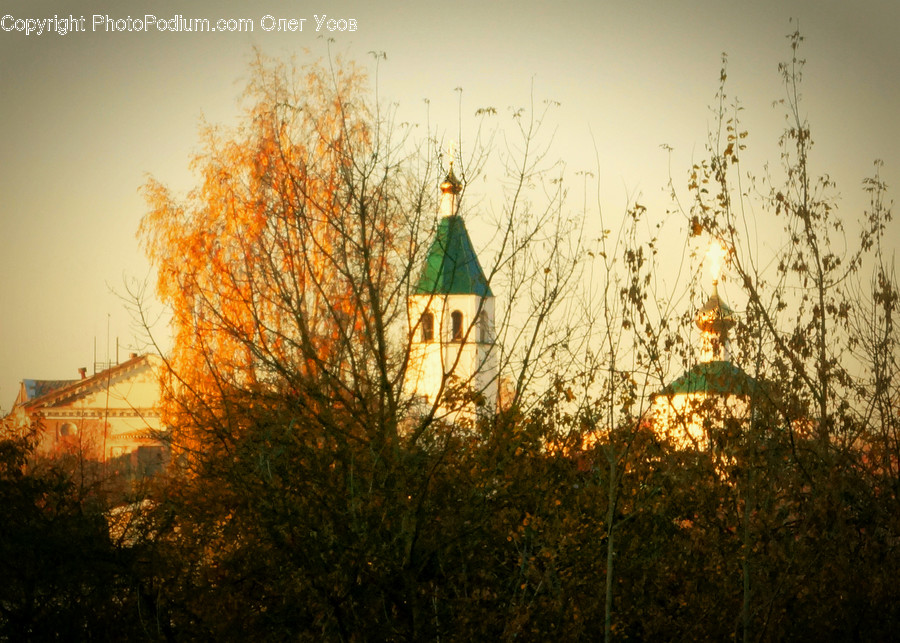 Flora, Grass, Plant, Architecture, Bell Tower