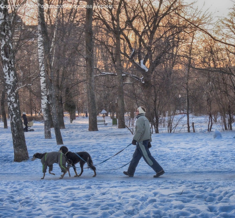 Human, People, Person, Leisure Activities, Outdoors