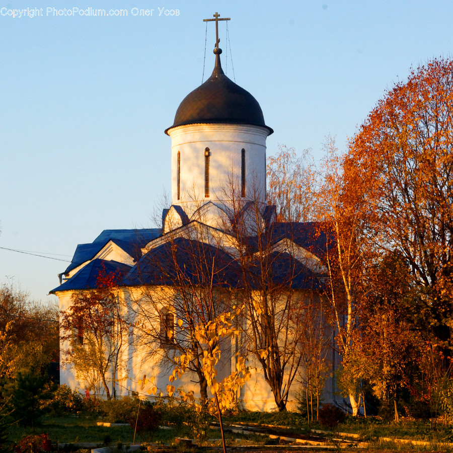 Architecture, Bell Tower, Building, Tower, Housing