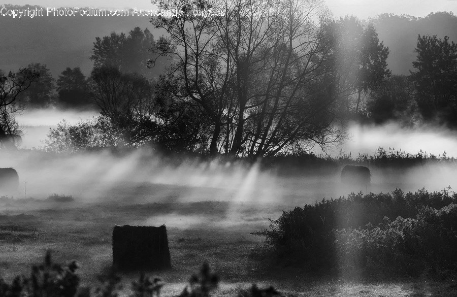 Fog, Nature, Weather, Countryside, Outdoors