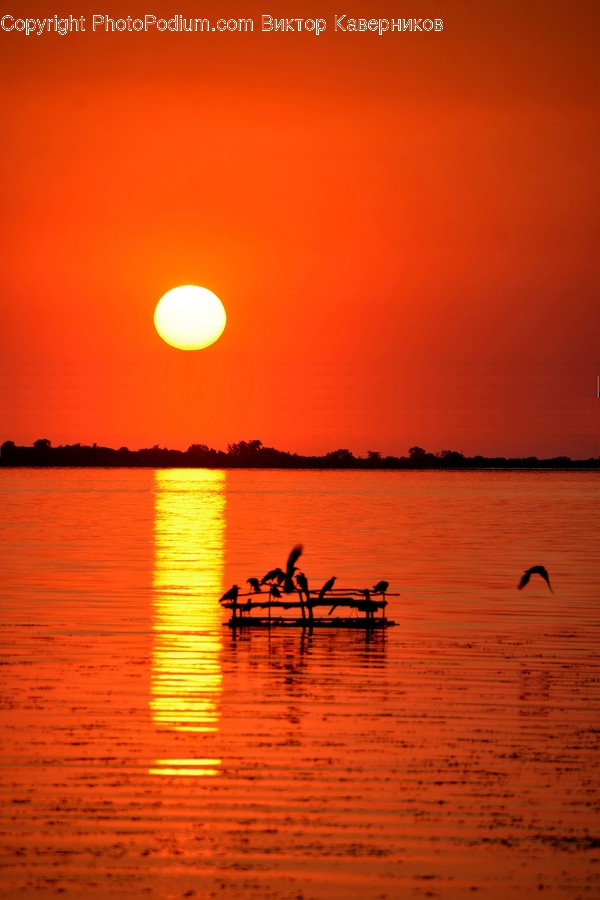 Outdoors, Sky, Sun, Silhouette, Dawn