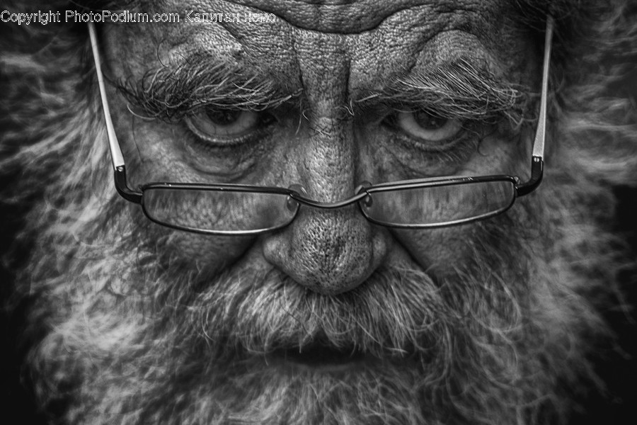 Head, Face, Human, Person, Portrait